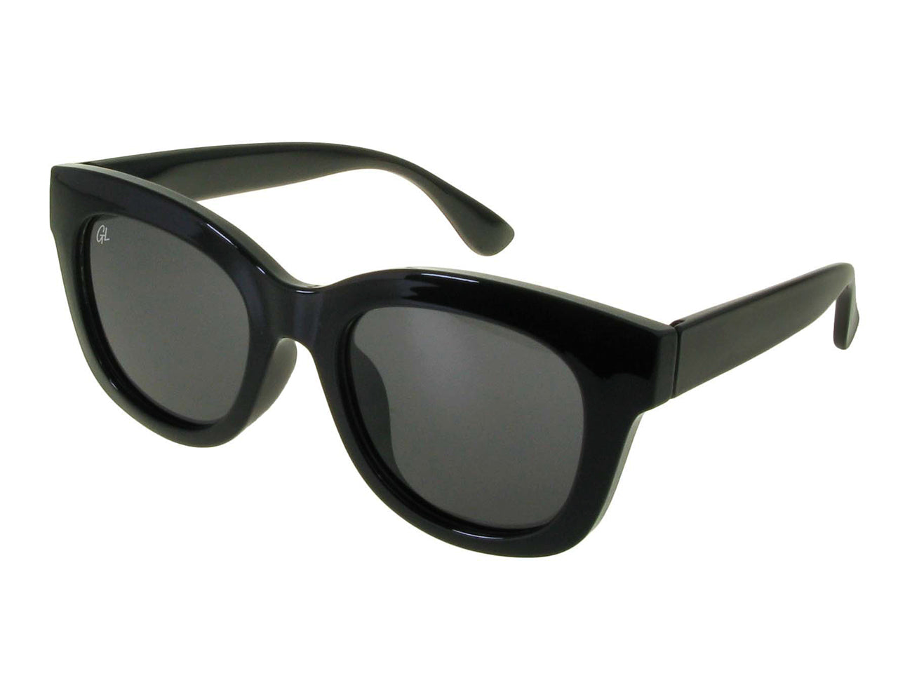 Sunglasses Polarised Encore Shiny Black